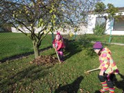 Uklízíme listí na zahrádce